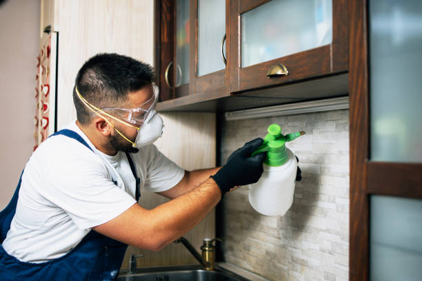 Best Commercial Pest Control Services  in North Bay Shore, NY