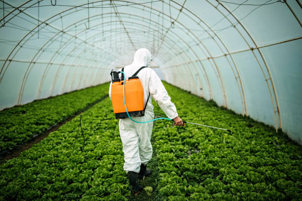 Best Affordable Pest Control Services  in North Bay Shore, NY