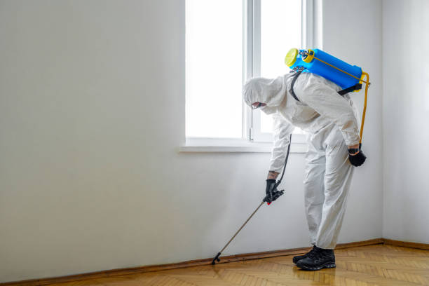 Best Flea Control Services  in North Bay Shore, NY