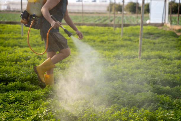 Best Best Pest Control Companies  in North Bay Shore, NY