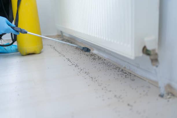 Best Residential Pest Control  in North Bay Shore, NY